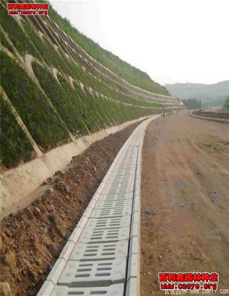 高速路邊坡種草 圖文 高速路邊坡種草 圖文