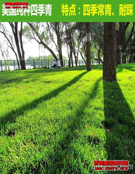 路基植草護坡的種類 路基植草護坡的種類
