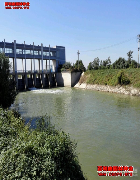 福建高速邊坡常用的草種 福建高速邊坡常用的草種