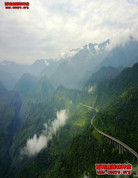 生態護坡草種價格范圍 生態護坡草種價格范圍