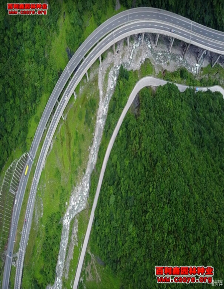 高速公路護坡草種多少錢 高速公路護坡草種多少錢