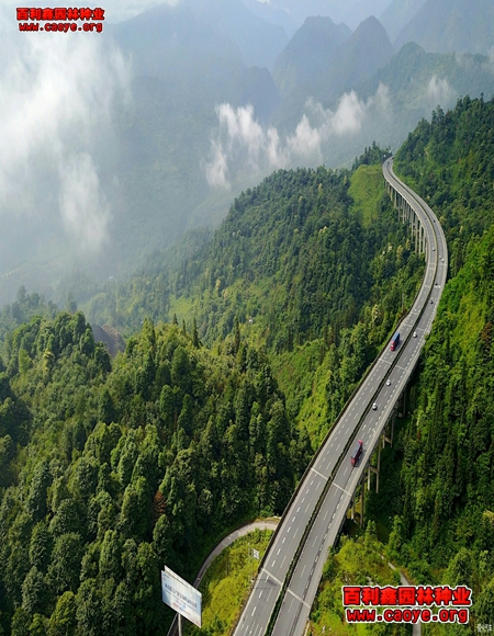 北方公路護坡應種什么草*** 北方公路護坡應種什么草***