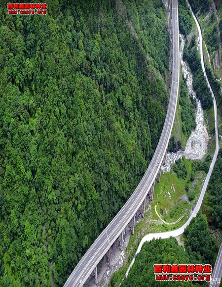 橋頭護坡種類價格表 橋頭護坡種類價格表