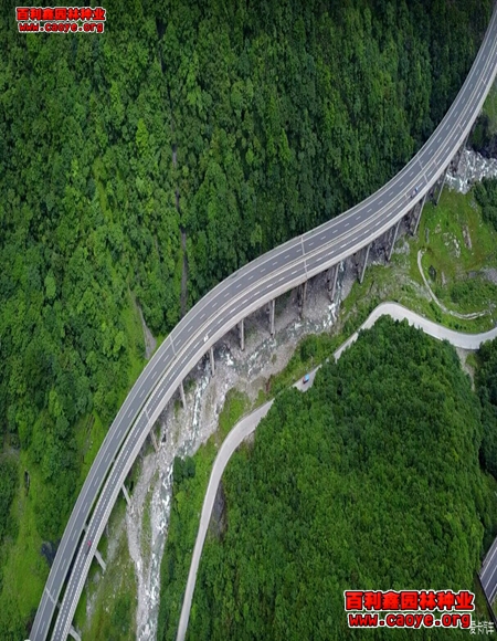 內蒙高速路邊坡種草播 內蒙高速路邊坡種草播