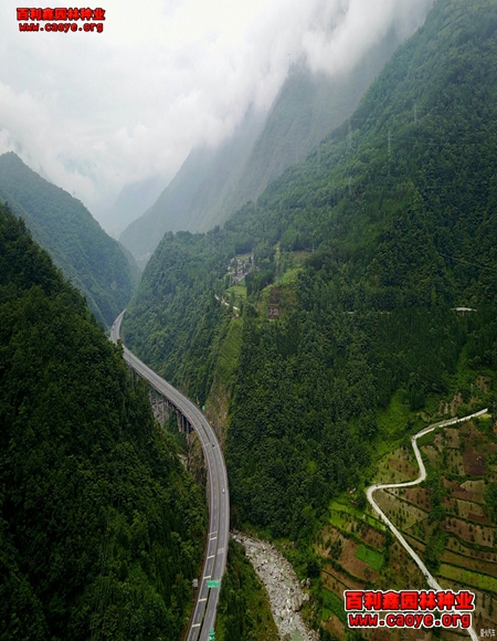 高速路邊坡種草 圖文 高速路邊坡種草 圖文