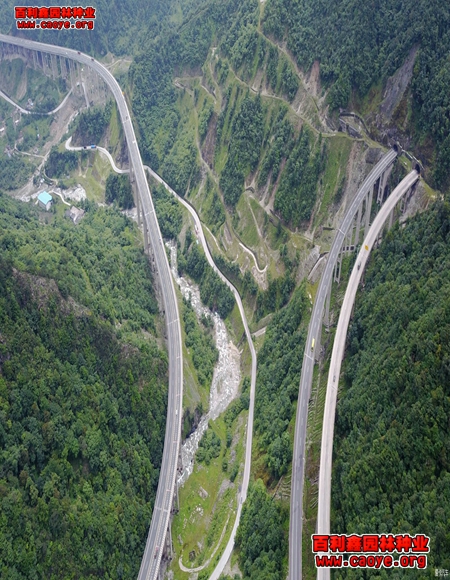 草種植生袋河道護坡種子報價