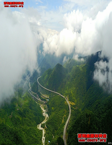 通遼鐵路護坡草種草籽 通遼鐵路護坡草種草籽