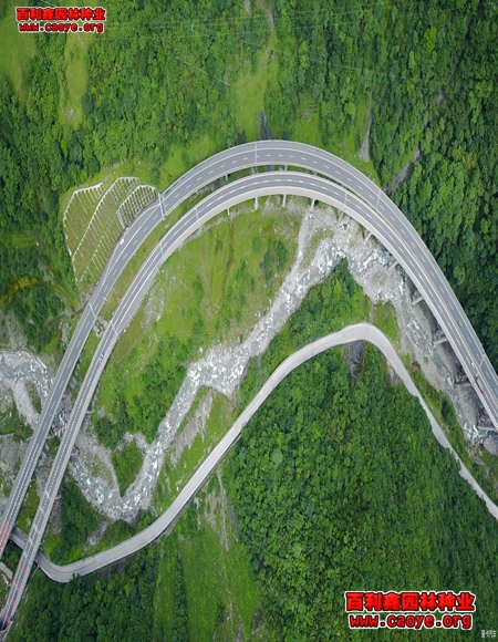 土邊坡種草 批發 土邊坡種草 批發