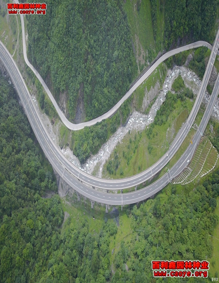 鐵路邊坡護坡草種子 鐵路邊坡護坡草種子
