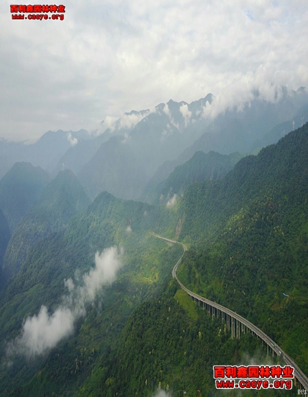 高速公路邊坡綠化種草