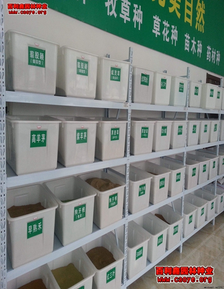 新鄉市護坡草坪種子批發價格