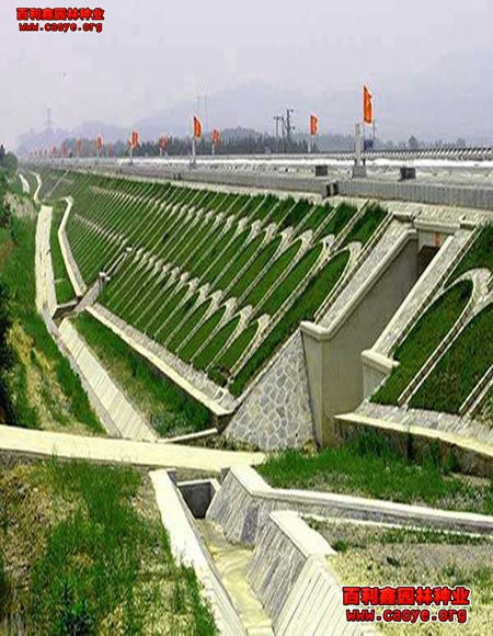 內蒙高速路邊坡種草播