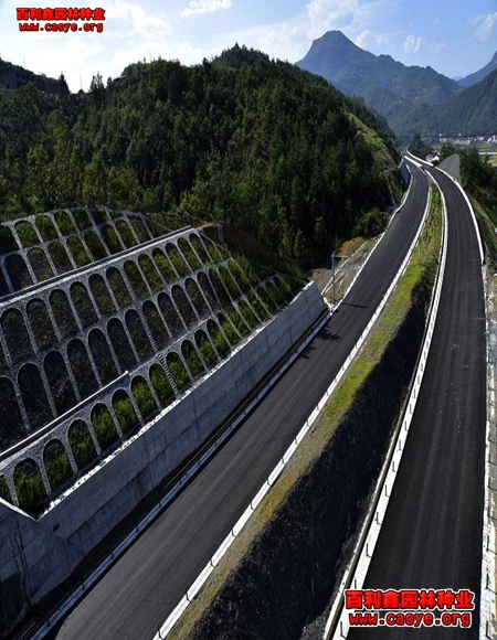 河道護坡草種咨價格 河道護坡草種咨價格