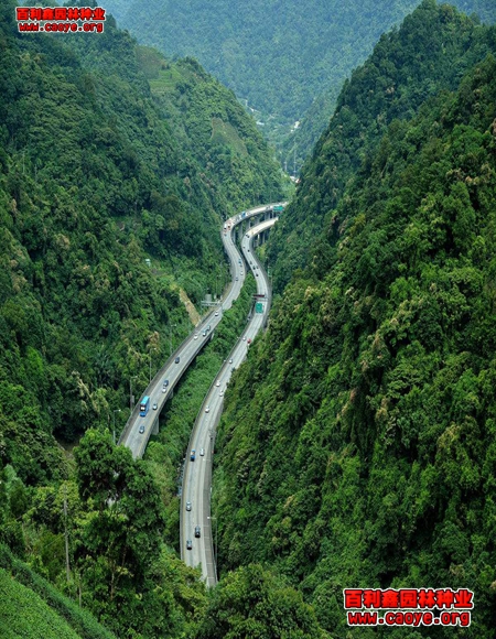 清鎮路基邊坡需要什么草種最好