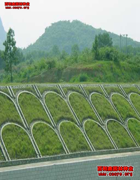 邊坡草袋怎么種草