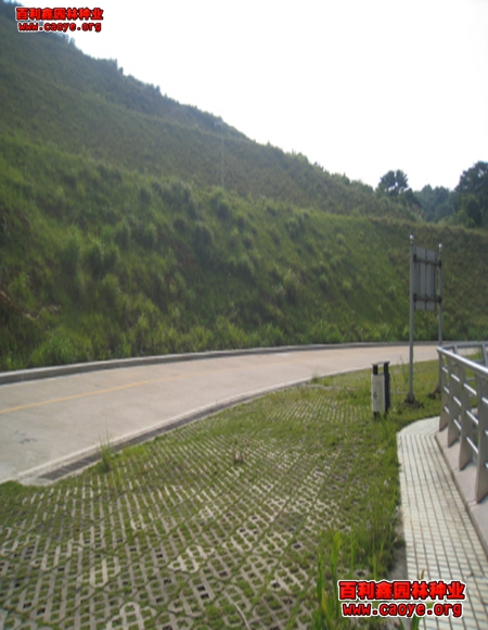 路基護坡工程需要哪些種子耐寒的種子批發