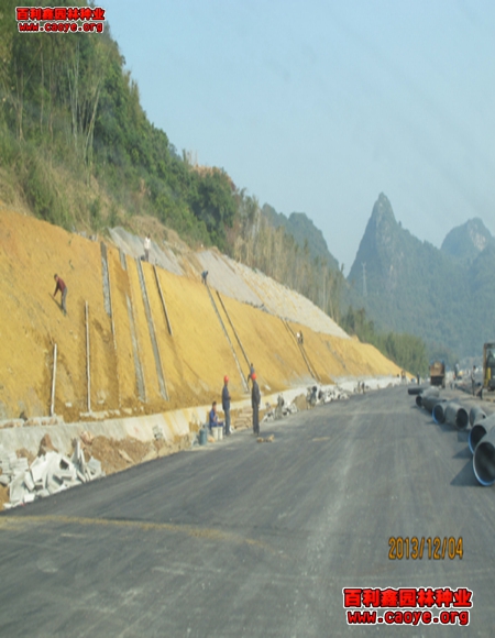 高速路邊坡種草 圖文 高速路邊坡種草 圖文