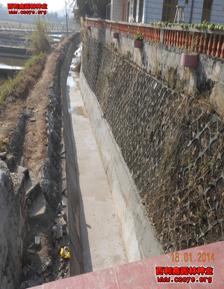 臨沂市護坡草坪種子價格行情 臨沂市護坡草坪種子價格行情