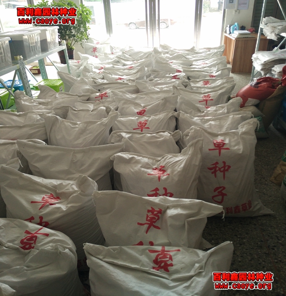 武漢草種護坡生態袋