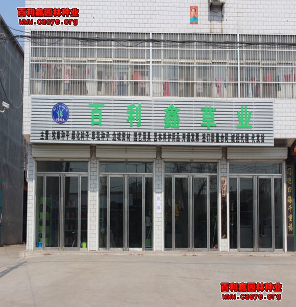 尋做護坡種草公司 甘肅