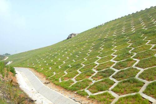 邊坡噴播草籽種類 邊坡噴播草籽種類