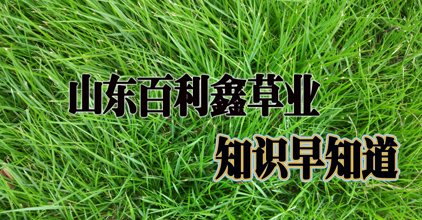 知識早知道