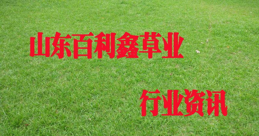行業資訊