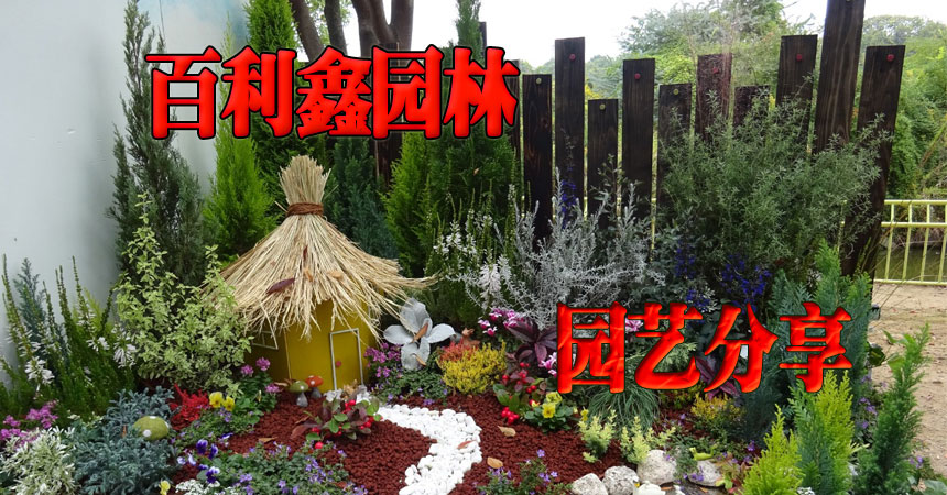 園藝分享