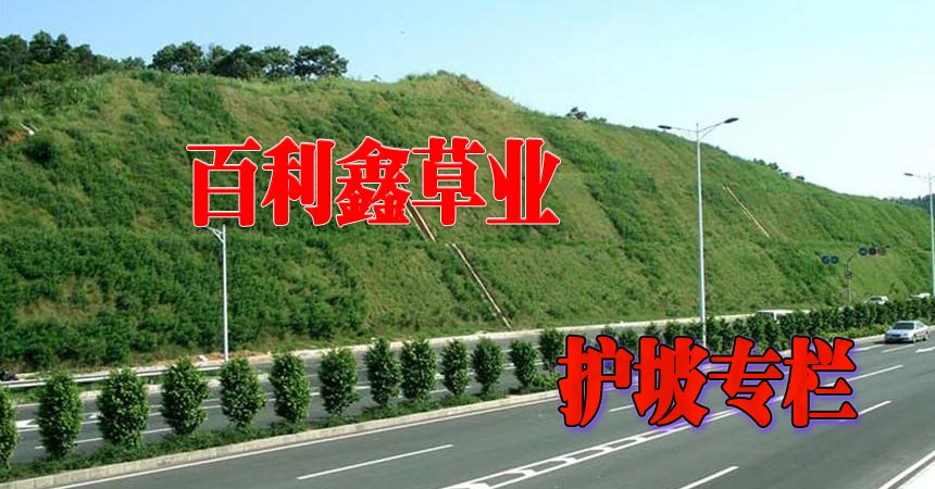 文章集錦