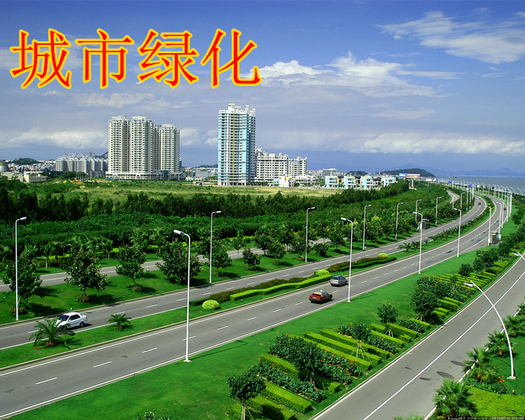 【客戶提問】：適合山東護坡的草種子有哪些呢？