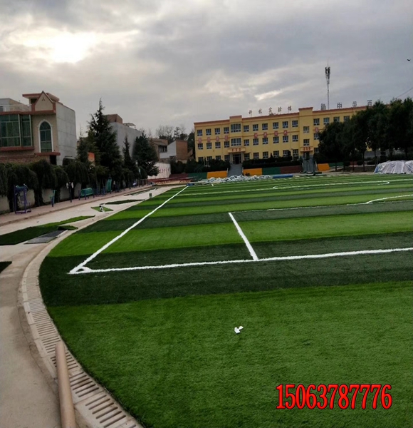 護坡上適合種植什么植物？