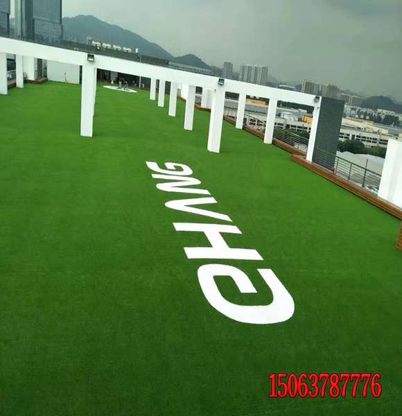 工程邊坡植草發芽率高的種子價格