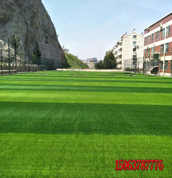 工程邊坡植草發芽率高的種子價格