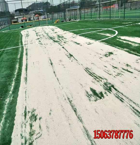 高速公路邊坡黑麥草發芽率好的去哪里買