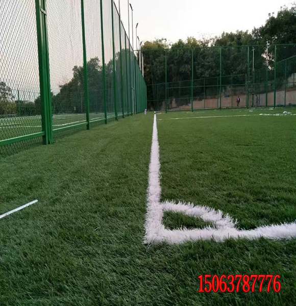 高速公路邊坡黑麥草發芽率好的去哪里買