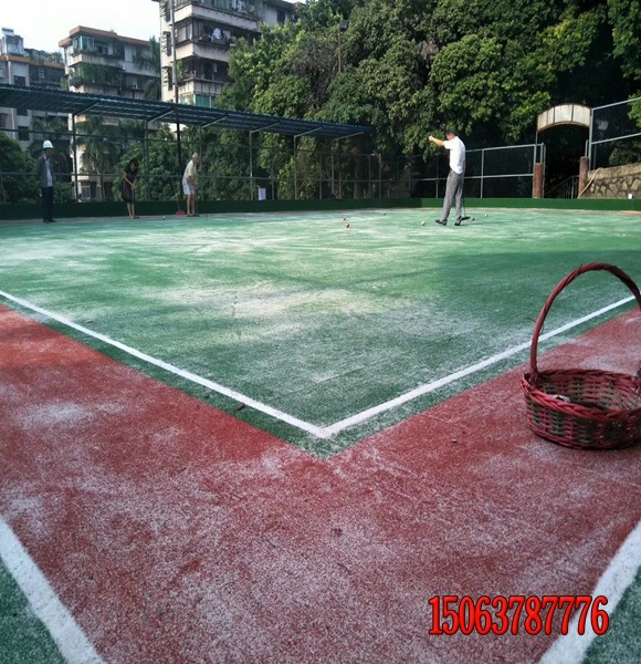 高速邊坡綠化草籽發芽率高的種子哪里有