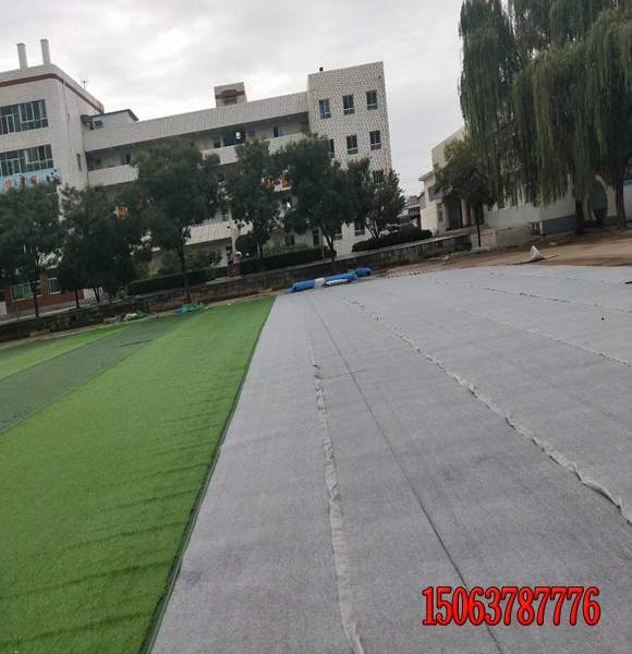 高速邊坡綠化草籽發芽率高的種子哪里有