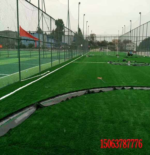 高速邊坡綠化草籽發芽率高的種子哪里有