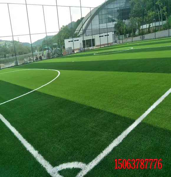 高速邊坡綠化草籽發芽率高的種子哪里有