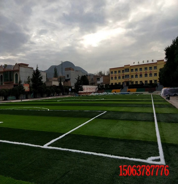 適合邊坡草籽高羊茅發芽率好的供應商