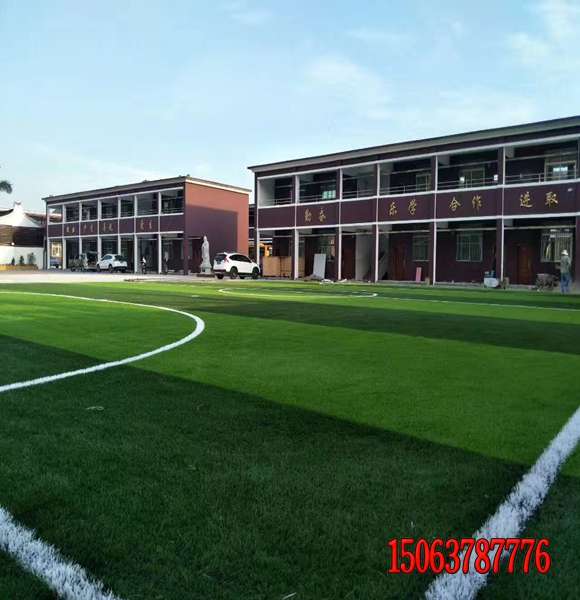 高速邊坡草子發芽率好的哪家好 種子