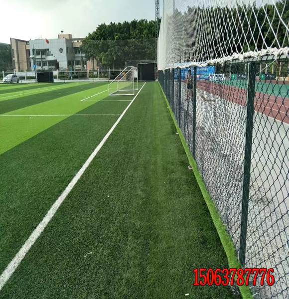 高速邊坡草子發芽率好的哪家好 種子