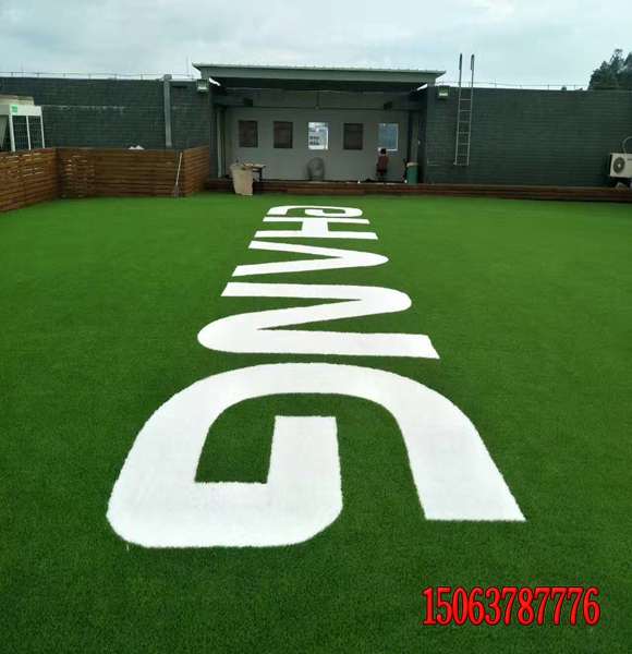 河道邊坡專用黑麥草質量好的多少錢一斤