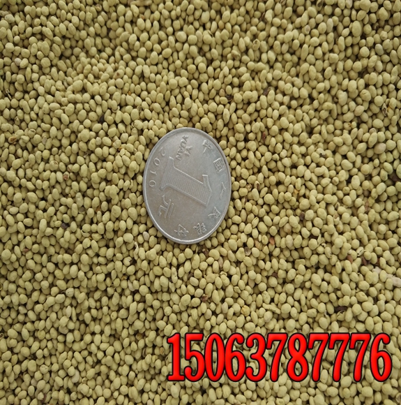 在做護坡工程時應該注意什么？