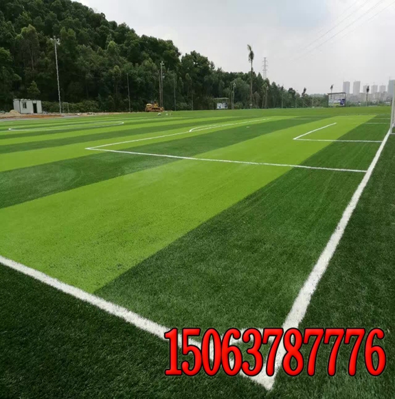 足球場草坪的養護管理技術經驗