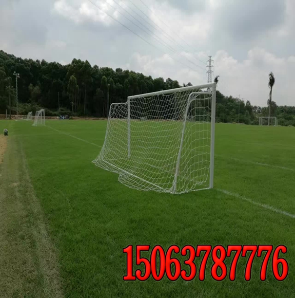 足球場草坪的養護管理技術經驗