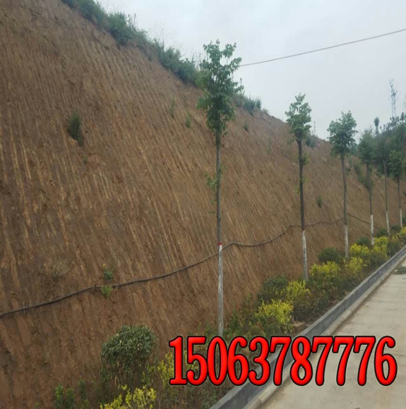 公路，山坡，堤壩護坡保護的類型有哪些？