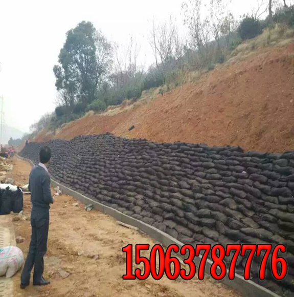 公路，山坡，堤壩護坡保護的類型有哪些？