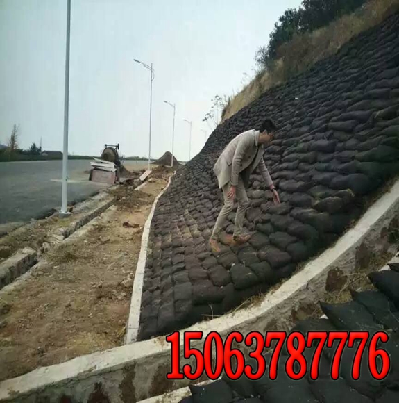 護坡工程--三維土工網