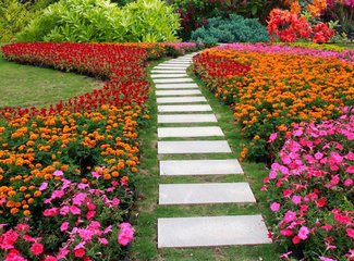 野花組合的種植經驗及養護管理